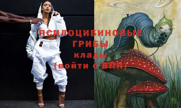 прущие крисы Медвежьегорск