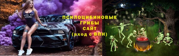 твердый Майский