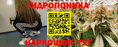 метадон Берёзовский