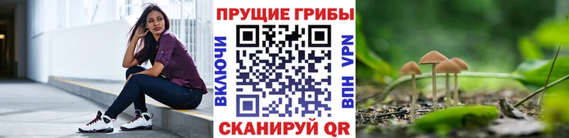Псилоцибиновые грибы ЛСД  Избербаш 