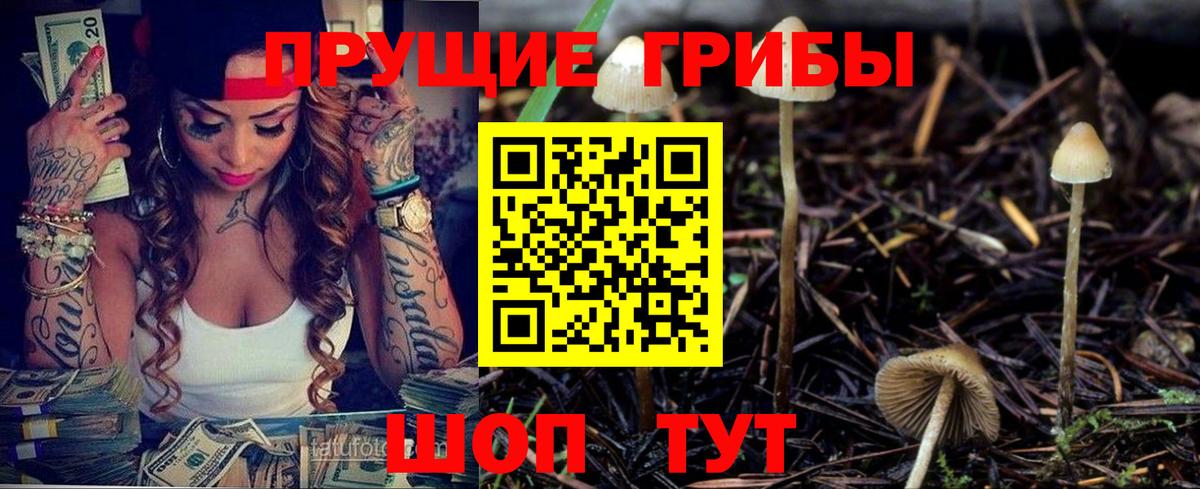 Избербаш  Галлюциногенные грибы GOLDEN TEACHER  Вход с VPN 